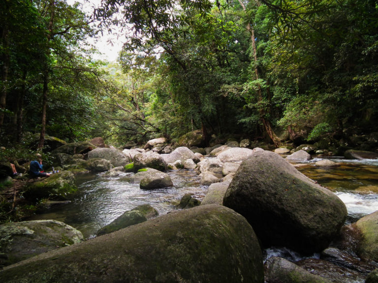 From the Daintree Rainforest to Great Barrier Reef: 48 hours in Cairns