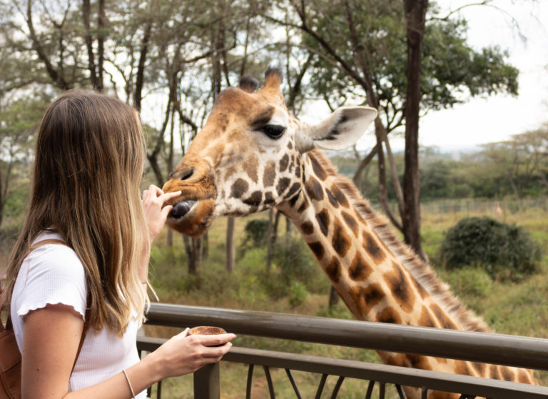 Feed the world’s tallest animal at the Giraffe Centre in Nairobi